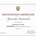 Powiększ obraz: certificate 9
