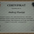 Powiększ obraz: certificate 3