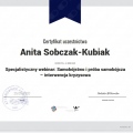 Powiększ obraz: certificate 11