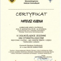 Powiększ obraz: certificate 11