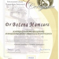 Powiększ obraz: certificate 4