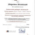 Powiększ obraz: certificate 28