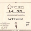 Powiększ obraz: certificate 2