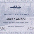 Powiększ obraz: certificate 29