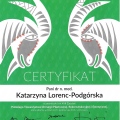 Powiększ obraz: certificate 11