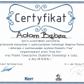 Powiększ obraz: certificate 12