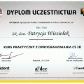 Powiększ obraz: certificate 11