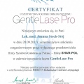 Powiększ obraz: certificate 1