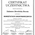 Powiększ obraz: certificate 10