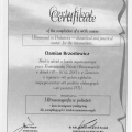 Powiększ obraz: certificate 10