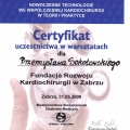 Powiększ obraz: certificate 47