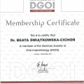 Powiększ obraz: certificate 20