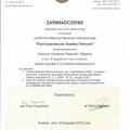 Powiększ obraz: certificate 7