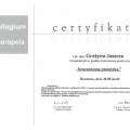 Powiększ obraz: certificate 4