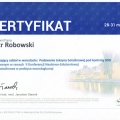 Powiększ obraz: certificate 11