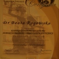 Powiększ obraz: certificate 4