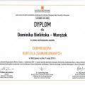 Powiększ obraz: certificate 7