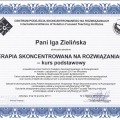 Powiększ obraz: certificate 2