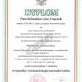 Powiększ obraz: certificate 1