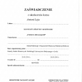 Powiększ obraz: certificate 5