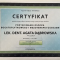 Powiększ obraz: certificate 12