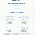Powiększ obraz: certificate 8