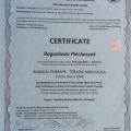 Powiększ obraz: certificate 3