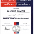 Powiększ obraz: certificate 3