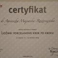 Powiększ obraz: certificate 3