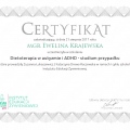 Powiększ obraz: certificate 9