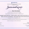 Powiększ obraz: certificate 3