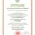 Powiększ obraz: certificate 8