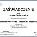 Powiększ obraz: certificate 47