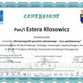 Powiększ obraz: certificate 1