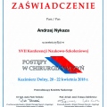 Powiększ obraz: certificate 1