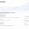 Powiększ obraz: certificate 20