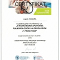 Powiększ obraz: certificate 2