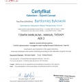 Powiększ obraz: certificate 11