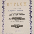 Powiększ obraz: certificate 8