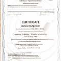 Powiększ obraz: certificate 20