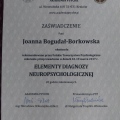 Powiększ obraz: certificate 8