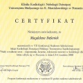 Powiększ obraz: certificate 9