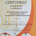 Powiększ obraz: certificate 29