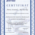 Powiększ obraz: certificate 2