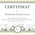 Powiększ obraz: certificate 9