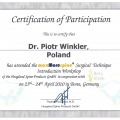 Powiększ obraz: certificate 8