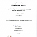 Powiększ obraz: certificate 6