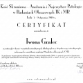 Powiększ obraz: certificate 4