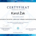 Powiększ obraz: certificate 1