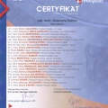 Powiększ obraz: certificate 28